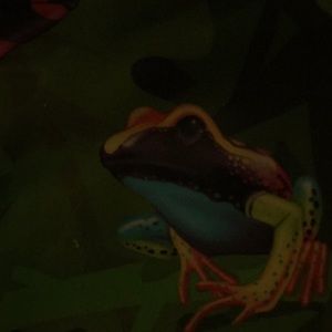 Meet your Posher, Mark